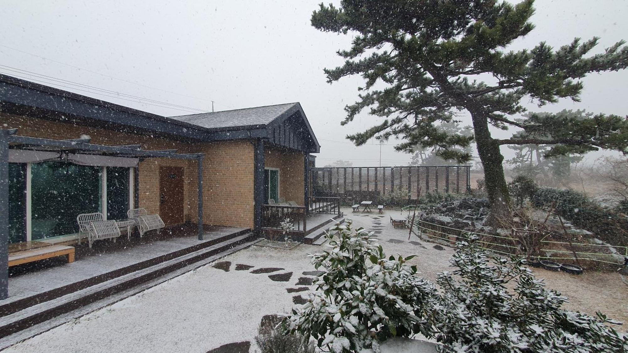 Wind Jeju Cafe & Pension Согвипхо Экстерьер фото