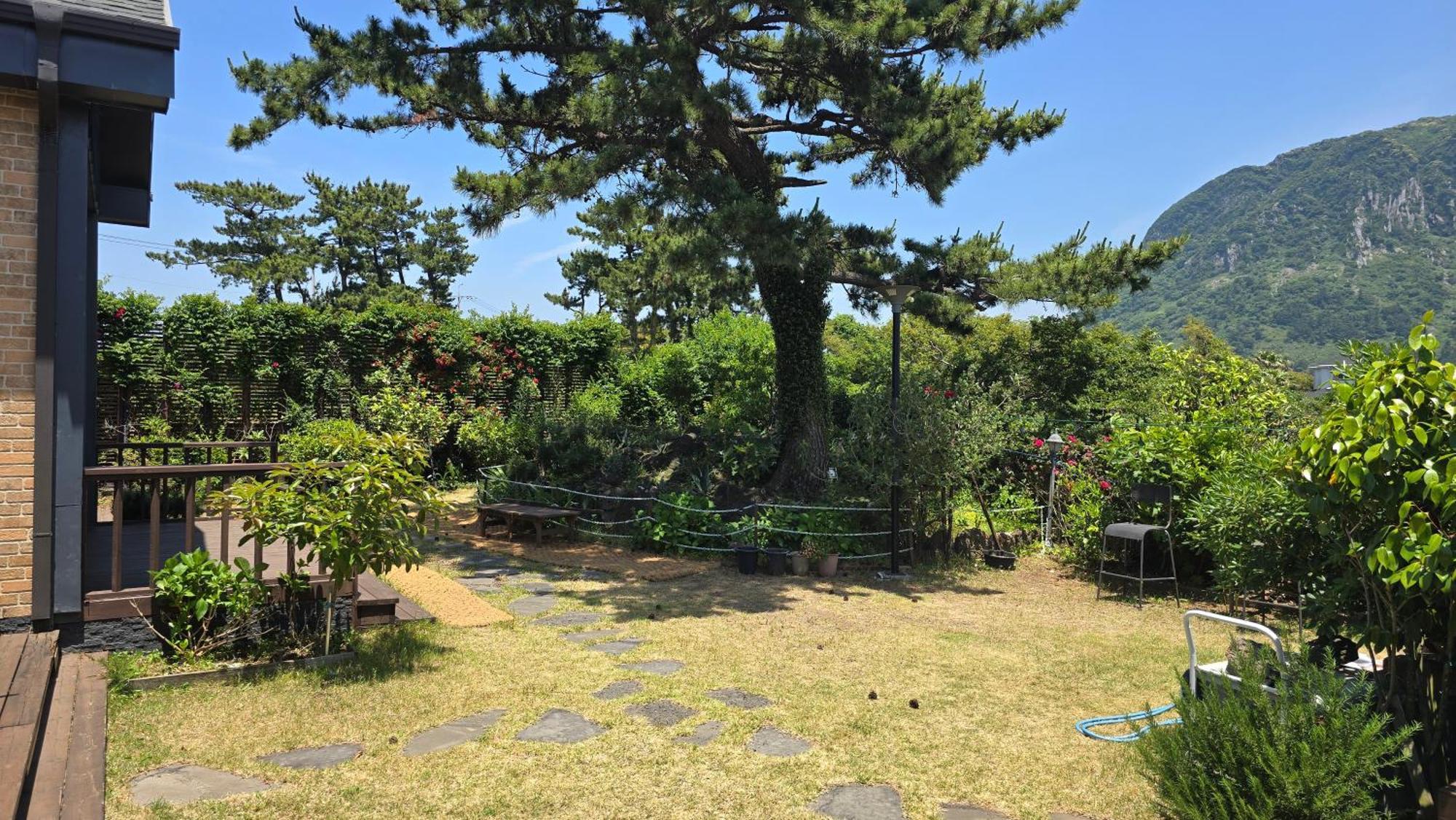 Wind Jeju Cafe & Pension Согвипхо Экстерьер фото