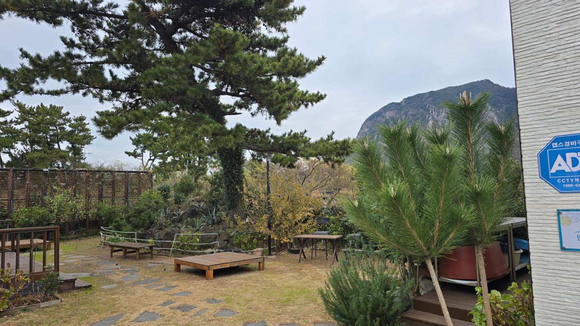 Wind Jeju Cafe & Pension Согвипхо Экстерьер фото