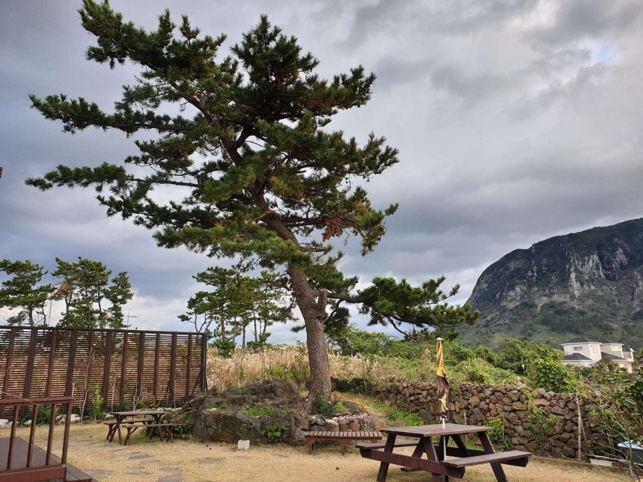 Wind Jeju Cafe & Pension Согвипхо Экстерьер фото