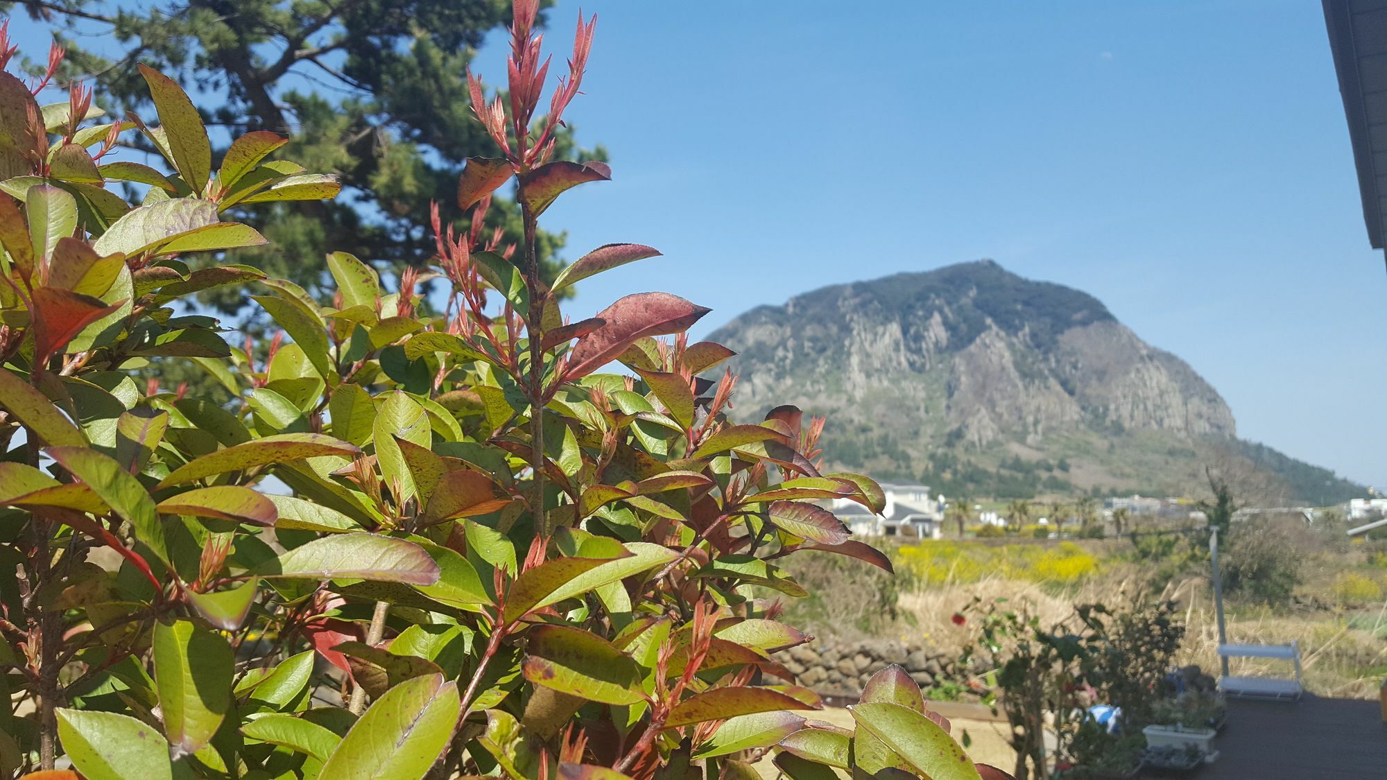 Wind Jeju Cafe & Pension Согвипхо Экстерьер фото