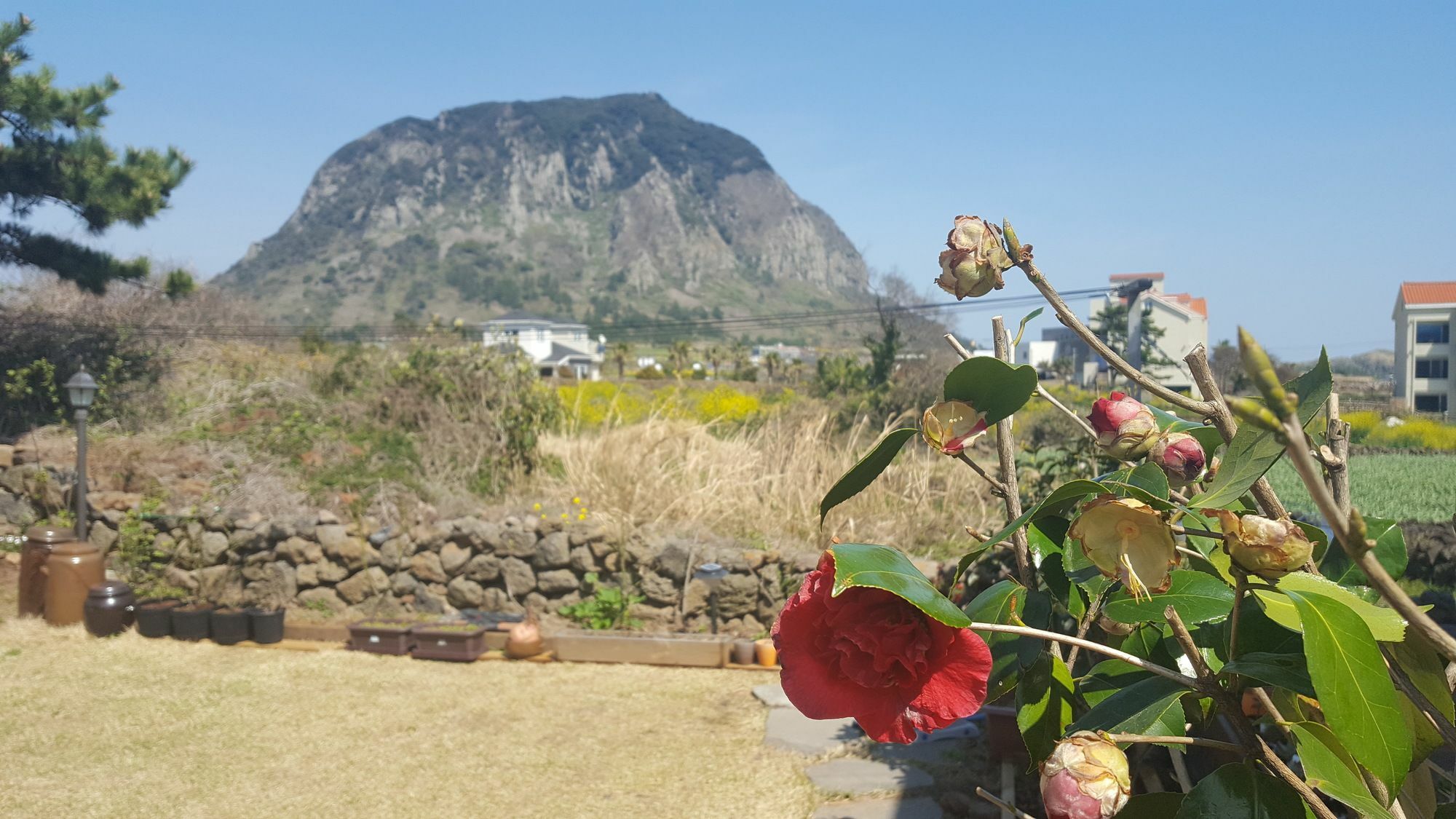 Wind Jeju Cafe & Pension Согвипхо Экстерьер фото